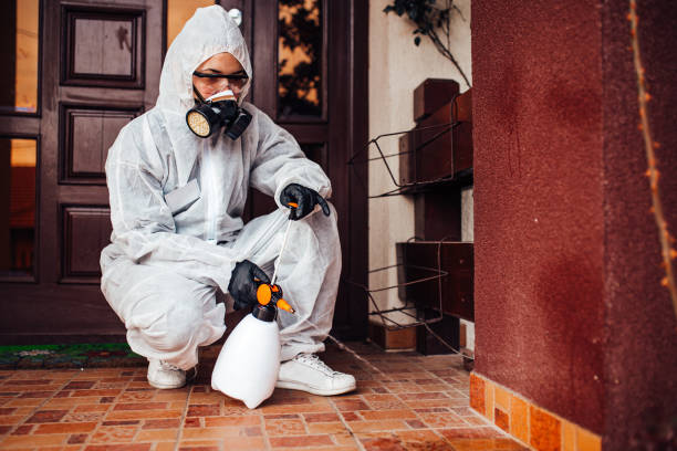Reliable Bed Bug Control contractor in Wolfe City, TX by Nex Pest Control